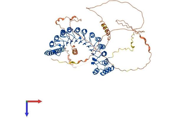 PPP1R37 Protein (AA 1-712) (His tag)
