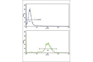 Flow Cytometry (FACS) image for anti-Natriuretic Peptide A (NPPA) antibody (ABIN2917623) (NPPA 抗体)