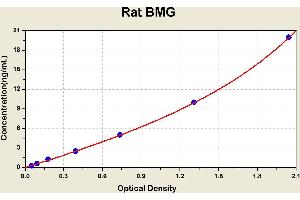 Diagramm of the ELISA kit to detect Rat BMGwith the optical density on the x-axis and the concentration on the y-axis.