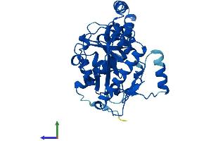 AlphaFold protein structure predicition of Mouse Recombinant Mogat1 Protein, UniprotID Q91ZV4