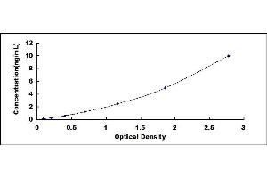 Typical standard curve (RAB5 ELISA 试剂盒)