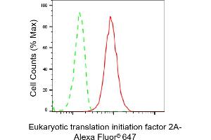 Flow cytometric analysis of Eukaryotic translation initiation factor 2A expression in HepG2 cells using Eukaryotic translation initiation factor 2A antibody (ABIN7798513), 1:2,000). (Recombinant EIF2A 抗体)