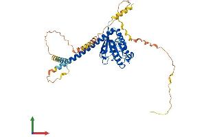 Protein Structure (PS) image for ADP-Ribosylation Factor-Like 13B (ARL13B) (AA 1-427) protein (His tag) (ABIN7563978)