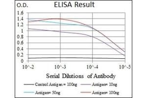 ELISA image for anti-NK2 Homeobox 2 (Nkx2-2) antibody (ABIN1108465) (Nkx2-2 抗体)
