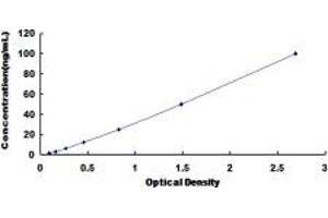 ELISA image for Solute Carrier Family 2 (Facilitated Glucose Transporter), Member 2 (SLC2A2) ELISA Kit (ABIN6959571)