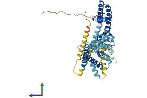 Protein Structure (PS) image for Potassium Channel, Subfamily V, Member 1 (KCNV1) (AA 1-500) protein (His tag) (ABIN7554345)