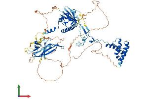 Protein Structure (PS) image for SUZ12 Polycomb Repressive Complex 2 Subunit (SUZ12) (AA 1-741) protein (His tag) (ABIN7564256)