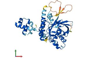 Protein Structure (PS) image for RAD51 Homolog B (Rad51B) (AA 1-350) protein (His tag) (ABIN7562373)