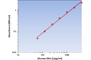 This is an example of what a typical standard curve will look like. (DKK1 ELISA 试剂盒)
