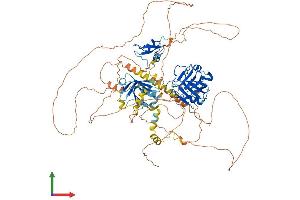 AlphaFold protein structure predicition of Human Recombinant OXR1 Protein, UniprotID Q8N573