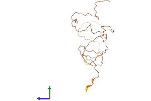 Protein Structure (PS) image for Keratin Associated Protein 5-8 (KRTAP5-8) (AA 1-177) protein (His tag) (ABIN7548839)