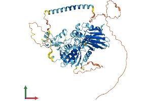 Protein Structure (PS) image for Chromosome 4 Open Reading Frame 14 (C4orf14) (AA 1-693) protein (His tag) (ABIN7561590)