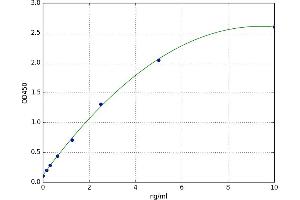 Villin 1 (VIL1) ELISA Kit