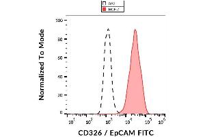 Surface staining of human MCF-7 cell line with anti-human CD326 / EpCAM (VU-1D9) FITC. (EpCAM 抗体  (FITC))