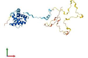 Protein Structure (PS) image for Calponin 1 (CNN1) (AA 1-297) protein (His tag) (ABIN7556919)