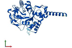 Protein Structure (PS) image for Glycerophosphodiester Phosphodiesterase Domain Containing 1 (GDPD1) (AA 1-314) protein (His tag) (ABIN7547958)