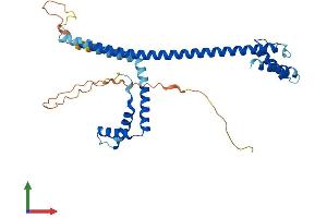 AlphaFold protein structure predicition of Mouse Recombinant Hmg20b Protein, UniprotID Q9Z104 (HMG20B Protein (AA 1-317) (His tag))