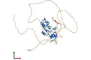 AlphaFold protein structure predicition of Human Recombinant ZNF280A Protein, UniprotID P59817 (ZNF280A Protein (AA 1-542) (His tag))