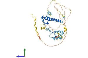 Protein Structure (PS) image for Ataxin 7-Like 3 (ATXN7L3) (AA 1-347) protein (His tag) (ABIN7561969)