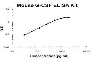 Mouse G-CSF Accusignal ELISA Kit Mouse G-CSF AccuSignal ELISA Kit standard curve. (G-CSF ELISA 试剂盒)