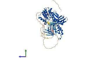 AlphaFold protein structure predicition of Mouse Recombinant Carm1 Protein, UniprotID Q9WVG6