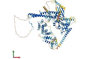 Protein Structure (PS) image for Ubiquitin Specific Peptidase 25 (USP25) (AA 1-1055) protein (His tag) (ABIN7555921)