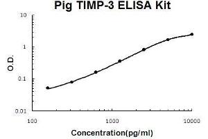 Pig TIMP-3 PicoKine ELISA Kit standard curve (TIMP3 ELISA 试剂盒)