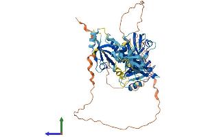 Protein Structure (PS) image for PDZ Domain Containing 3 (PDZD3) (AA 1-571) protein (His tag) (ABIN7549702)