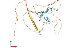 Protein Structure (PS) image for Kruppel-Like Factor 17 (KLF17) (AA 1-341) protein (His tag) (ABIN7559300)