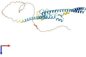 LUC7L Protein (AA 1-371) (His tag)
