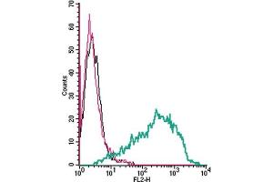 Cell surface detection of SERT by direct flow cytometry in live intact human  megakaryoblastic leukemia cells: + Rabbit IgG isotype control-PE.