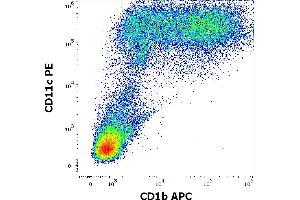 Flow cytometry multicolor surface staining pattern of human stimulated (GM-CSF + IL-4) peripheral blood mononuclear cells using anti-human CD1b (SN13) APC antibody (10 μL reagent per milion cells in 100 μL of cell suspension) and anti-human CD11c (BU15) PE antibody (20 μL reagent per milion cells in 100 μL of cell suspension). (CD1b 抗体  (APC))