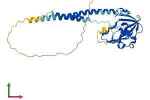 Protein Structure (PS) image for Surfeit 1 (SURF1) (AA 1-300) protein (His tag) (ABIN7544052)
