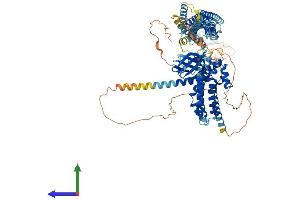 Protein Structure (PS) image for MCF.2 Cell Line Derived Transforming Sequence (MCF2) (AA 1-925) protein (His tag) (ABIN7554492)