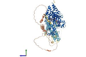 Protein Structure (PS) image for Microtubule Associated Monoxygenase, Calponin and LIM Domain Containing 1 (MICAL1) (AA 1-1048) protein (His tag) (ABIN7564748)
