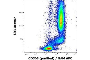 Flow cytometry surface staining pattern of human peripheral whole blood stained using anti-human CD368 (9B9) purified antibody (concentration in sample 5 μg/mL, GAM APC).