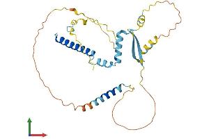 Protein Structure (PS) image for Craniofacial Development Protein 1 (CFDP1) (AA 1-299) protein (His tag) (ABIN7553461)