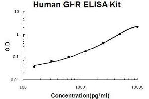 Human GHR PicoKine ELISA Kit standard curve (Growth Hormone Receptor ELISA 试剂盒)