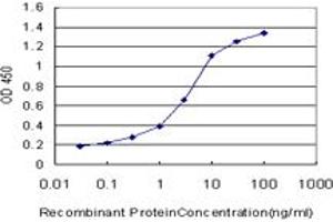 Detection limit for recombinant GST tagged QPCT is approximately 0. (QPCT 抗体  (AA 262-359))
