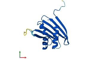 Protein Structure (PS) image for Proteasome (Prosome, Macropain) Assembly Chaperone 3 (PSMG3) (AA 1-122) protein (His tag) (ABIN7560785)