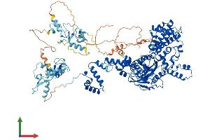 Protein Structure (PS) image for Recombination Activating Gene 1 (RAG1) (AA 1-1040) protein (His tag) (ABIN7562894)