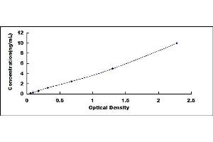 Typical standard curve (UCP2 ELISA 试剂盒)