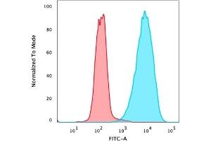 Flow cytometric analysis of PFA-fixed MCF-7 cells stained with EpCAM Mouse Recombinant Monoclonal Antibody (rMOC-31) followed by goat anti-mouse IgG-CF488 (blue), isotype control (red). (Recombinant EpCAM 抗体)