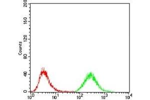 Flow cytometric analysis of Jurkat cells using MDM2 mouse mAb (green) and negative control (red). (MDM2 抗体)