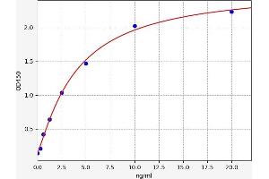 Endonuclease G ELISA 试剂盒