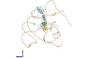 Protein Structure (PS) image for Sp8 Transcription Factor (SP8) (AA 1-486) protein (His tag) (ABIN7558770)