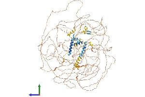 Protein Structure (PS) image for B-Cell CLL/lymphoma 9 (BCL9) (AA 1-1425) protein (His tag) (ABIN7564972)