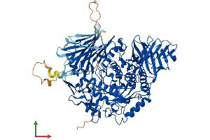 Protein Structure (PS) image for Glucosidase, Alpha, Neutral C (GANC) (AA 1-898) protein (His tag) (ABIN7558943)