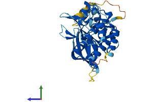 Protein Structure (PS) image for PDLIM1 Interacting Kinase 1 Like (PDIK1L) (AA 1-341) protein (His tag) (ABIN7550672)