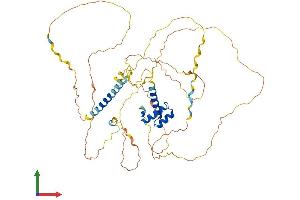 Protein Structure (PS) image for UNC Homeobox (UNCX) (AA 1-531) protein (His tag) (ABIN7544969)